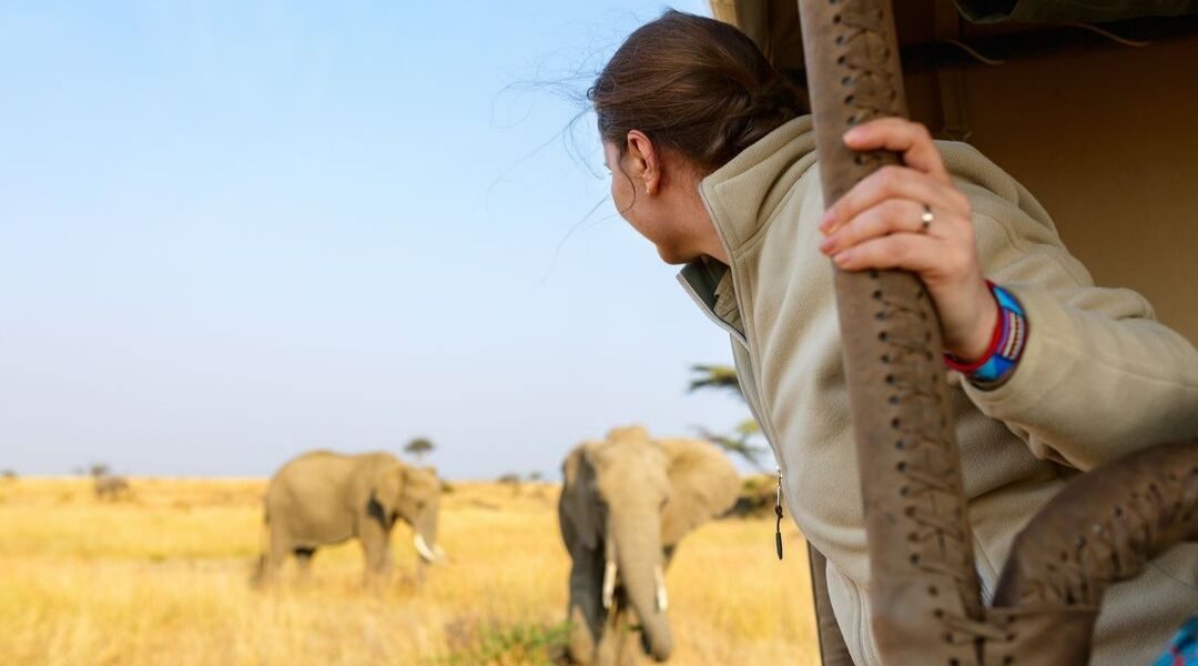 Tourist on Safari Game Drive Looking at Elephants