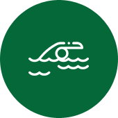 icon-colored
