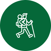 icon-colored