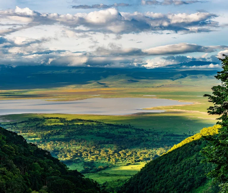 Ngorongoro