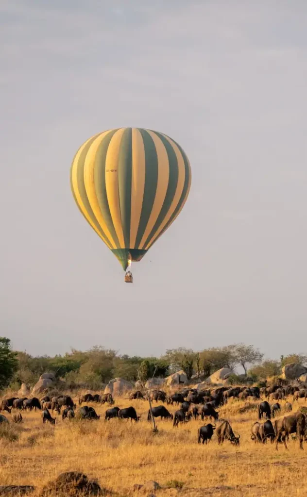 14 Days Great Migration And Zanzibar Vacation
