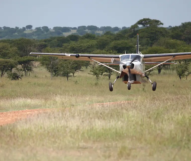 6 Days Fly-Inn Northern Tanzania Safari