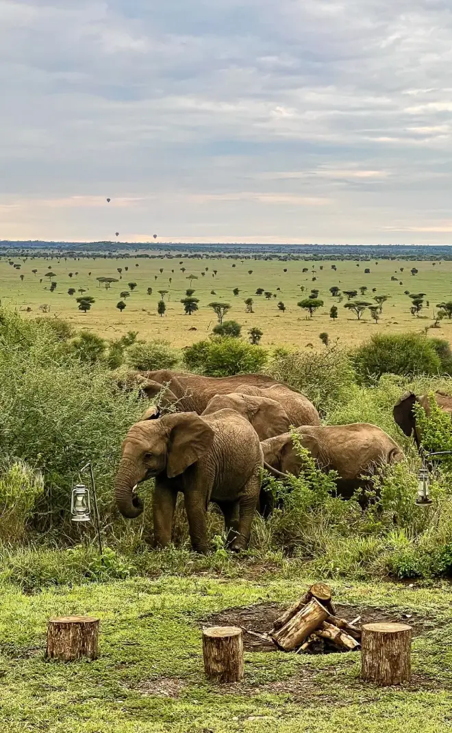 Unforgettable 6 Days Fly-Inn Northern Tanzania Safari Adventure