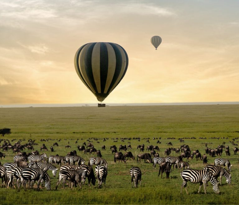Serengeti Balloon Safari