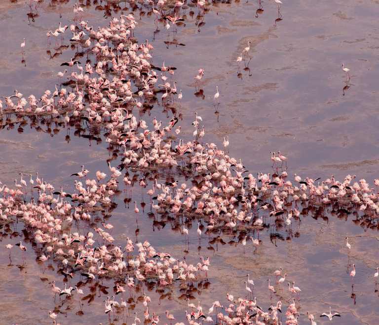 Lake Natron