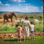 Tanzania Safari Tours | African Safaris and Tours | Family Safaris
