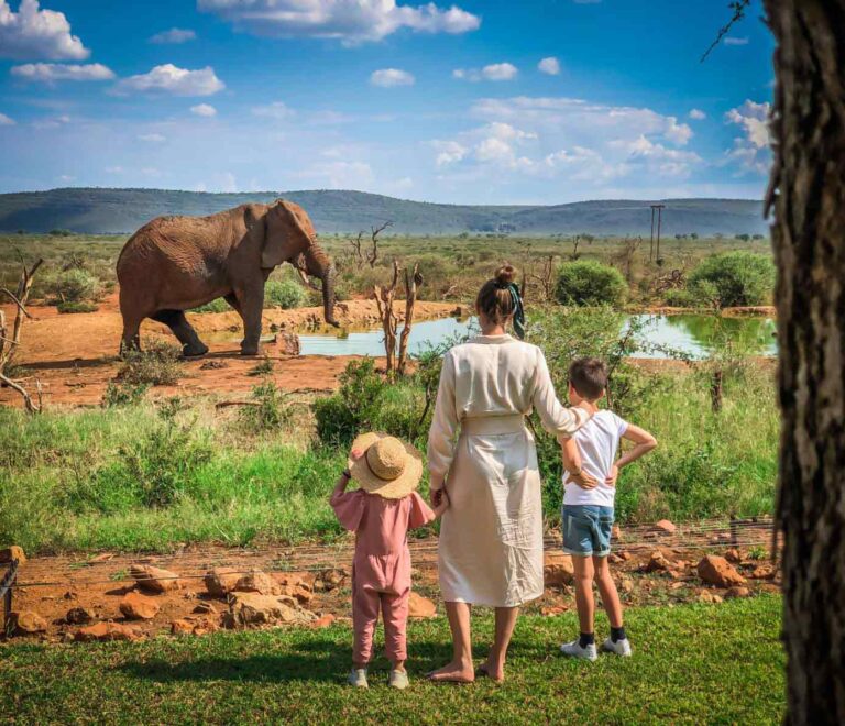 Tanzania Safari Tours | African Safaris and Tours | Family Safaris