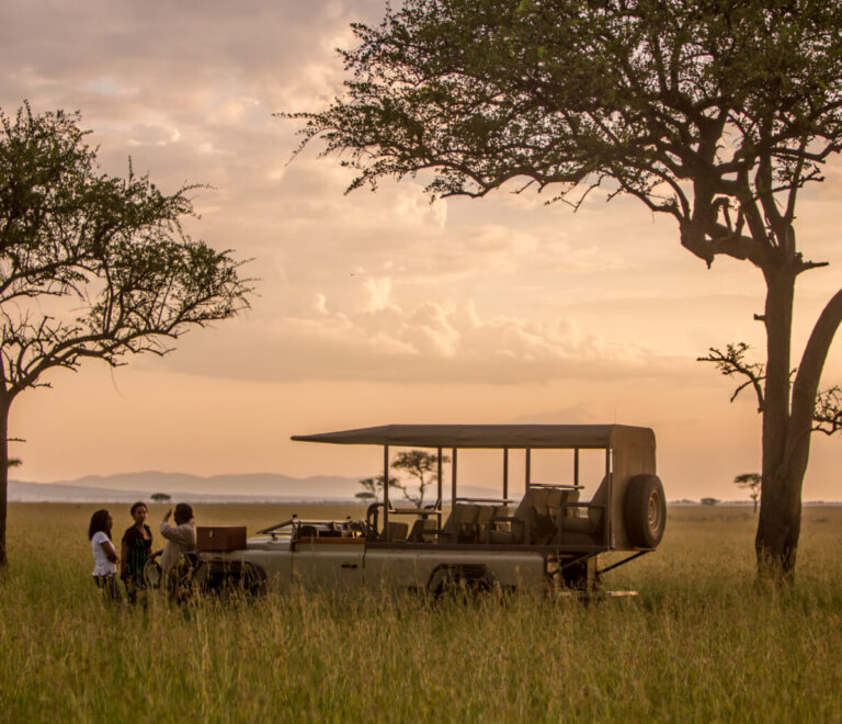 Ultimate Guide to Tanzania Safari Holidays: Best Parks, Tips & Itineraries