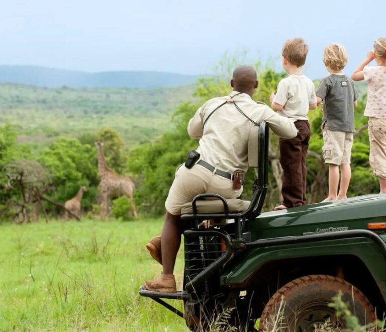 How to Prepare Your Kids for an African Safari Holiday Tips for a Fun and Safe Adventure