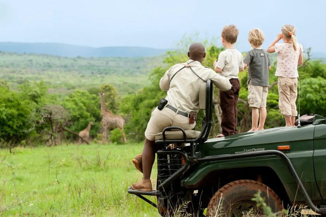 African safari holiday