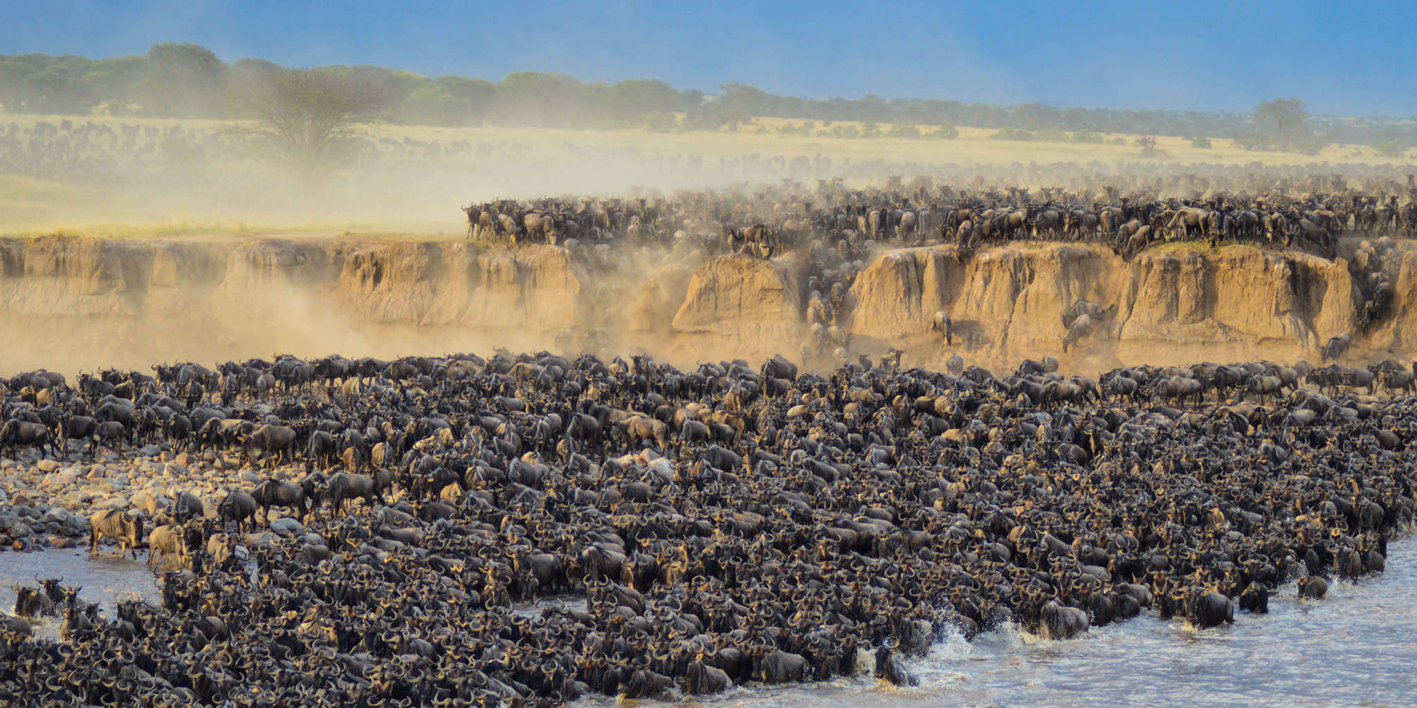 Packages for Big Five & Great Migration