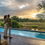 Top 10 Best Luxury Tanzania Safari Camps & Lodges for an Unforgettable Experience
