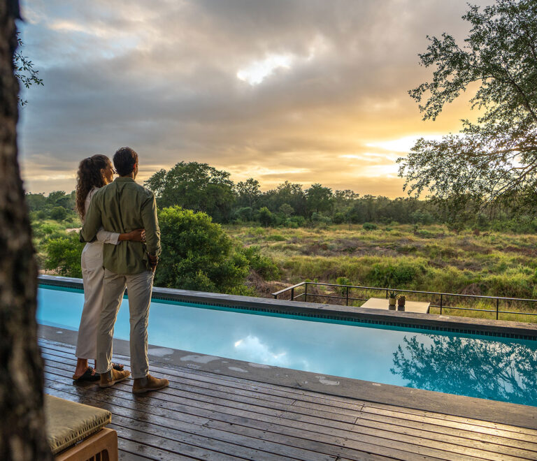 Top 10 Best Luxury Tanzania Safari Camps & Lodges for an Unforgettable Experience
