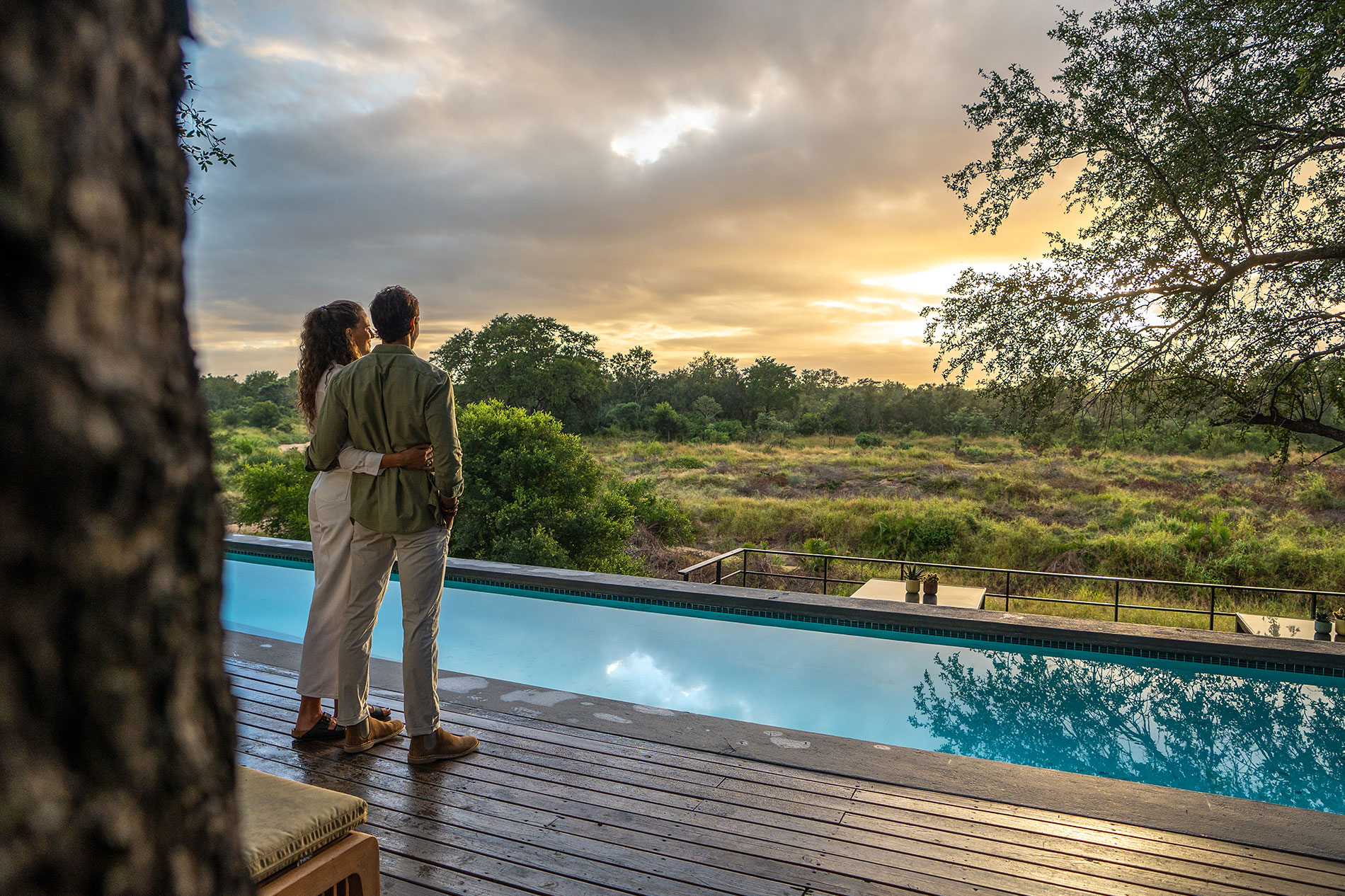 Everything You Need to Know to Plan an Amazing African Safari: Complete Beginner’s Guide When Is the Best Time to Go on Safari