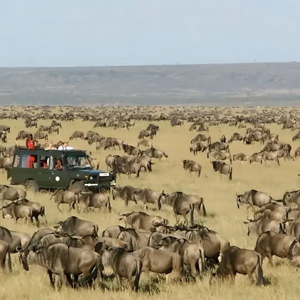 10-days-tanzania-safari-and-culture6