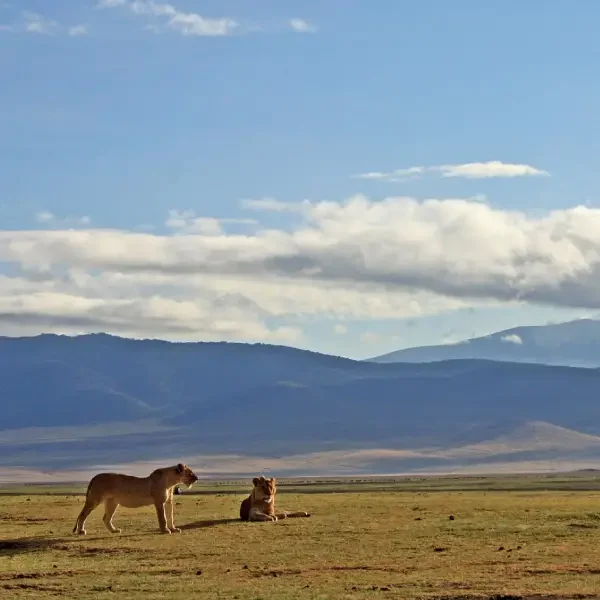 10-days-tanzania-safari-and-culture9