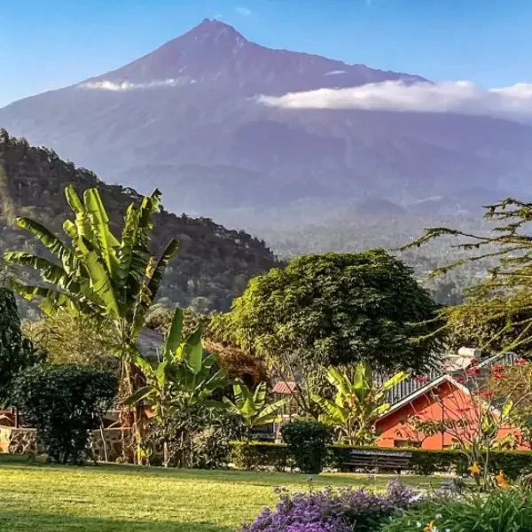 11-days-great-migration-safari12