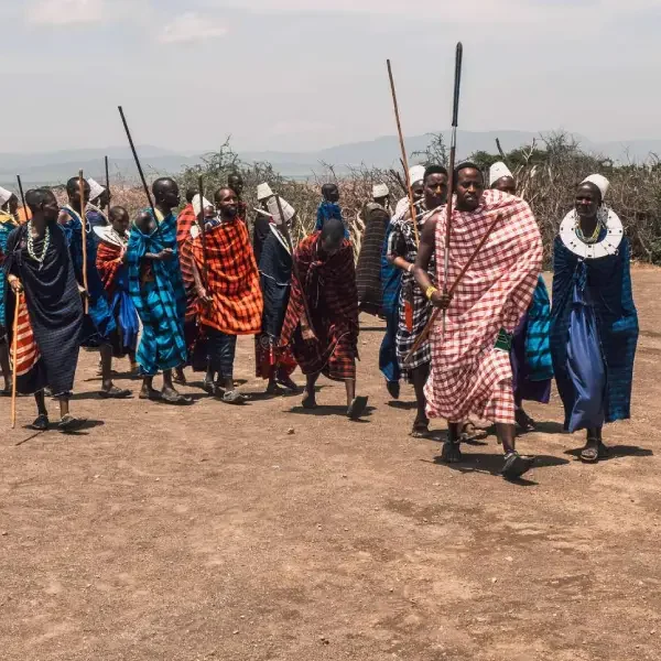 11-days-great-migration-safari5