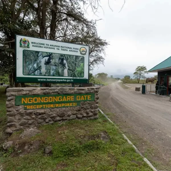 7-days-best-of-tanzania-safari8 7-days-best-of-tanzania-safari8