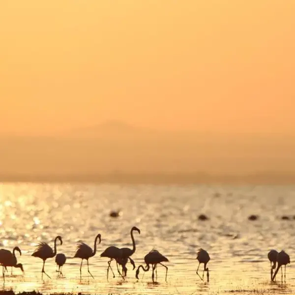 8-days-tanzania-classic-safari10