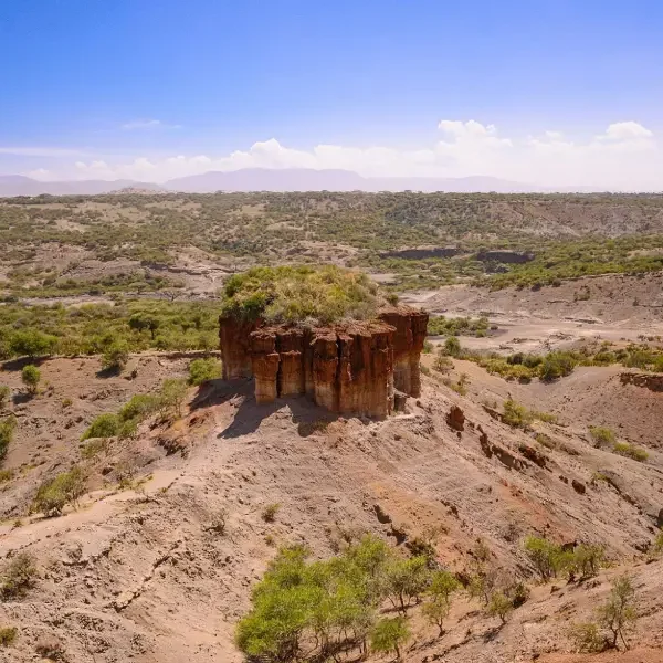 8-days-tanzania-classic-safari7