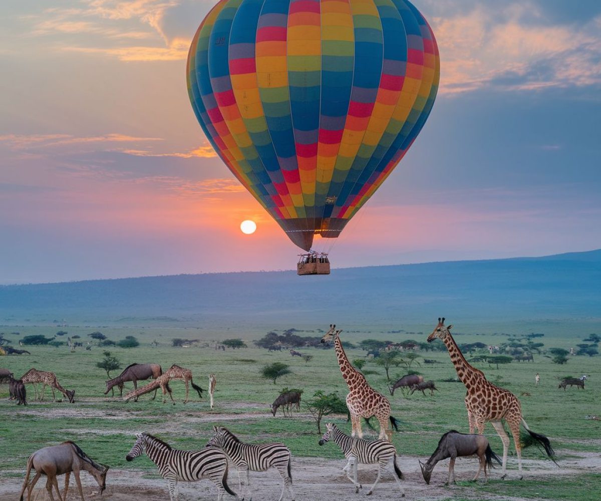 Best luxury safari packages Kenya and Tanzania