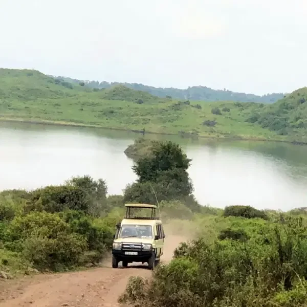 9-days-amazing-tanzania-safari3 9-days-amazing-tanzania-safari3