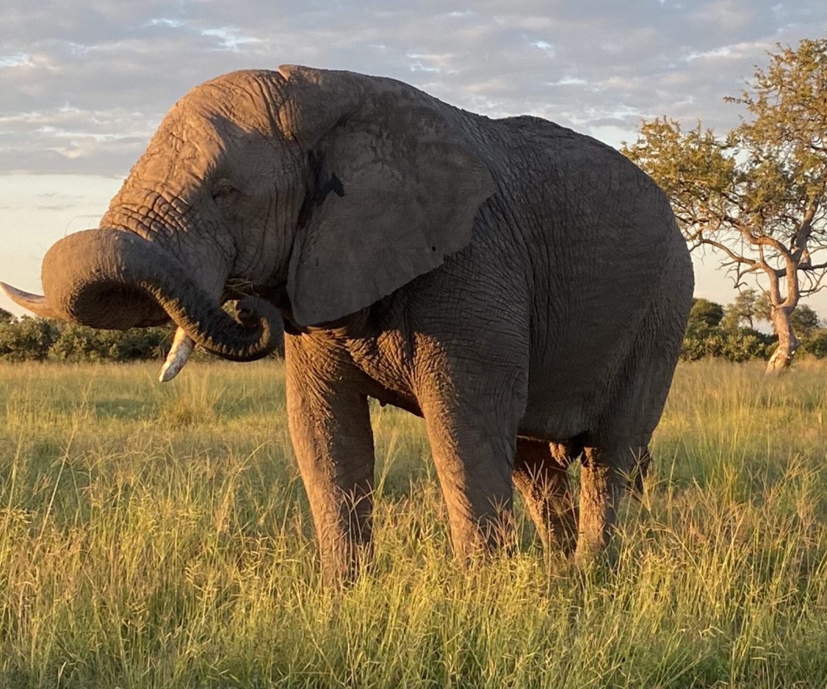 Why Travel with African Overland?