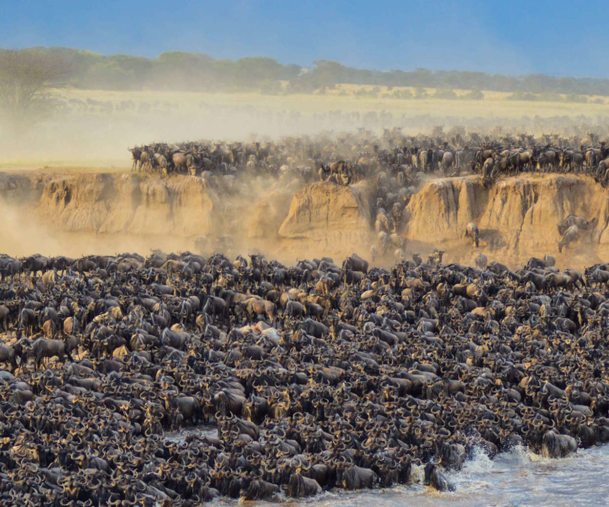 Packages for Big Five & Great Migration