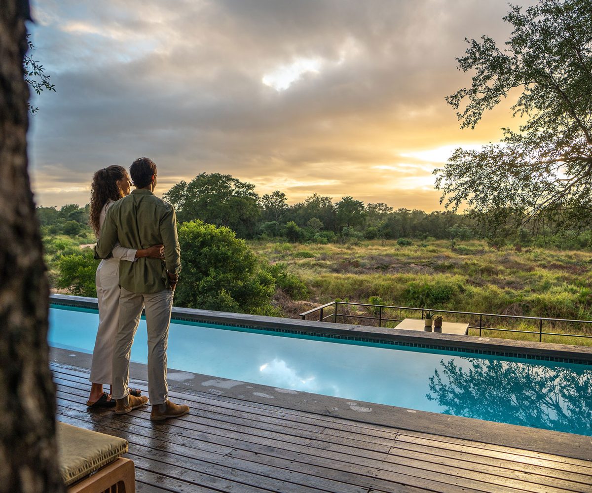 When Is the Best Time to Go on Safari